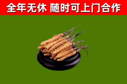 张家口市烟酒回收冬虫夏草.jpg